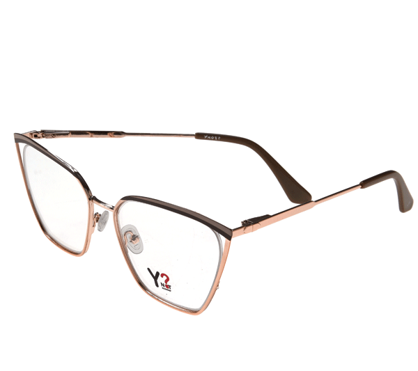 Armação Y_17202_C3_55_17_142